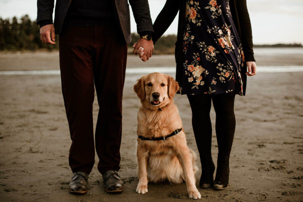 engagement photos with dog