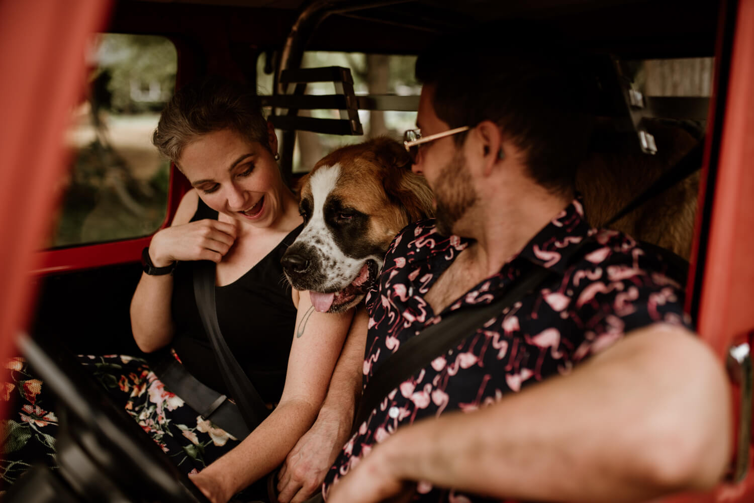 nanaimo-dog-portrait-session
