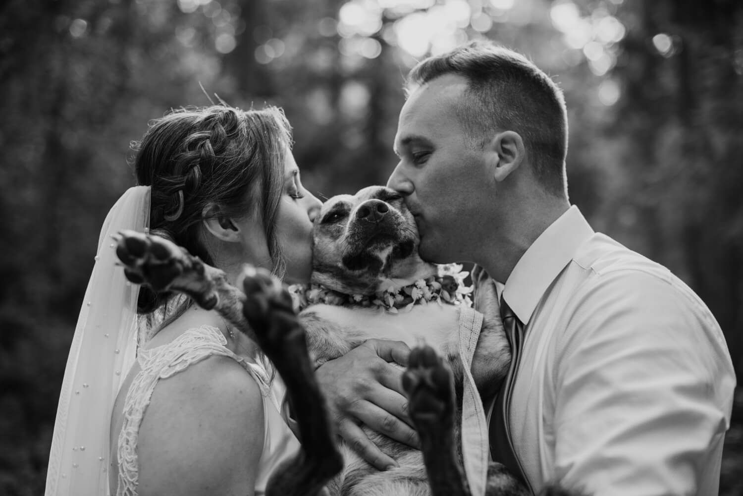 The bride and groom give their dog a big kiss