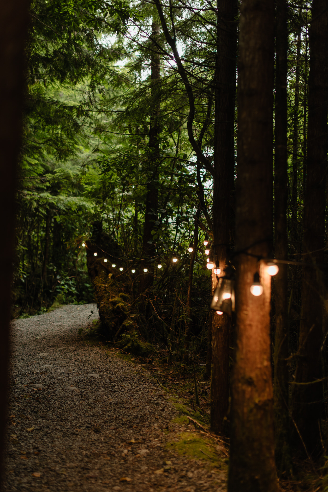The path through the rainforest that leads to the Pacific Sands wedding reception tent